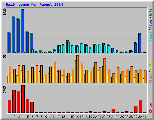 Daily usage for August 2024