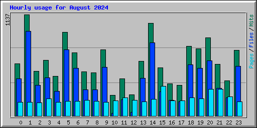 Hourly usage for August 2024