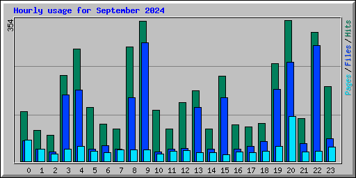 Hourly usage for September 2024