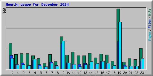 Hourly usage for December 2024