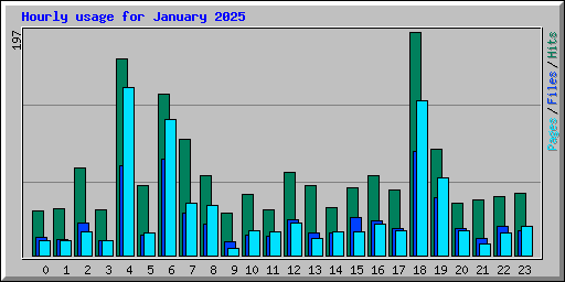 Hourly usage for January 2025