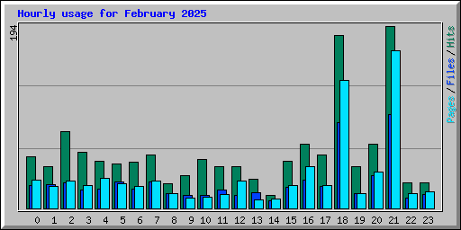 Hourly usage for February 2025